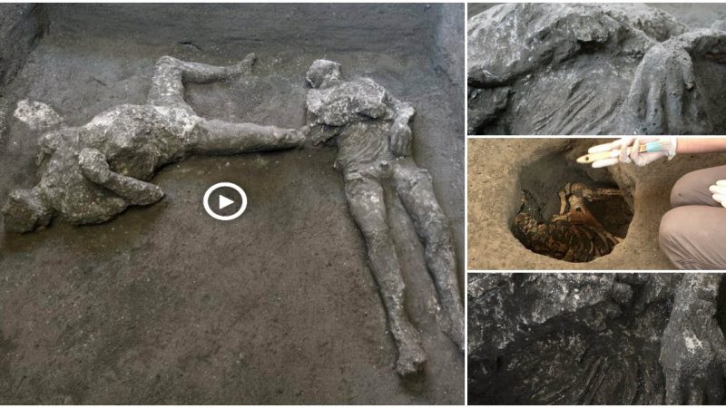 Found Two Vesuvius Victims Found in Pompeii were Well-Preserved Remaining