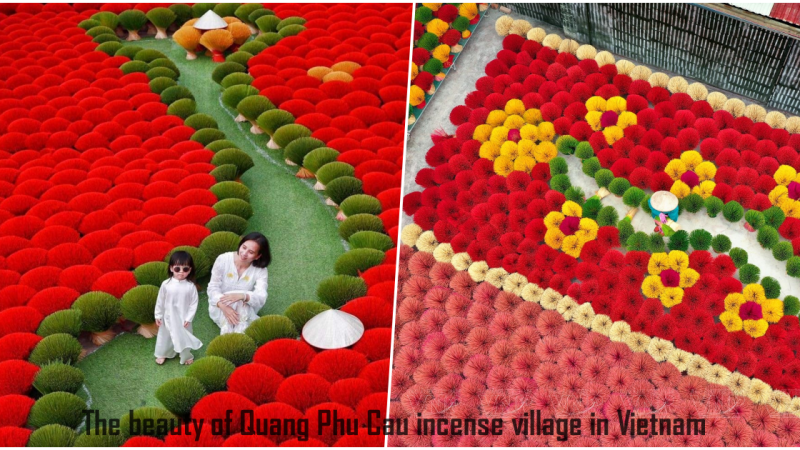 The beauty of Quang Phu Cau incense village in Vietnam