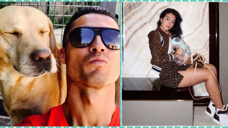 From a puppy to a super dog, Ronaldo’s bodyguard ‘animal’ has everyone in ‘amazement’