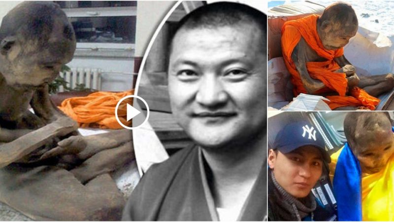 Unbelievable: 200-Year-Old Mongolian Monk’s Mummy Found ‘Alive’.