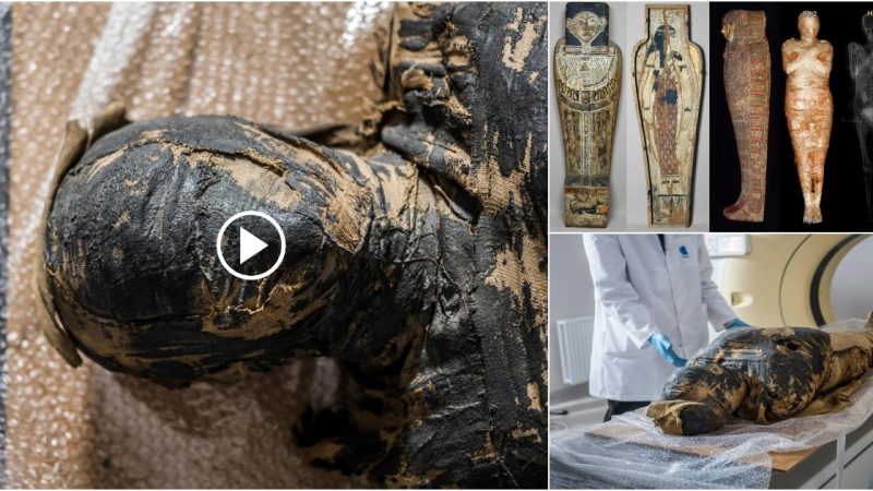 Ancient Egyptian Mummy’s True Identity Revealed as Pregnant Woman, Astonishing Researchers.