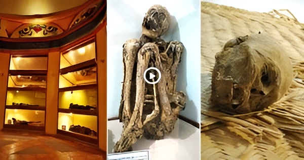 Incredible Mummy Collection at the Museo de las Animas