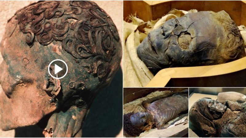 Be amazed by the mummy’s curling hair, which has endured three thousand years and remains unchanged.