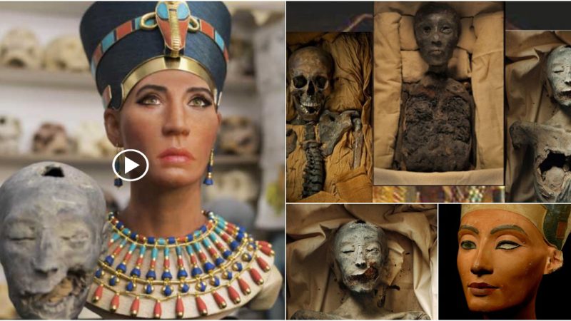 Archaeologists investigating the great pharaoh’s tomb face the mystery of the great pharaoh’s vanished stepmother.