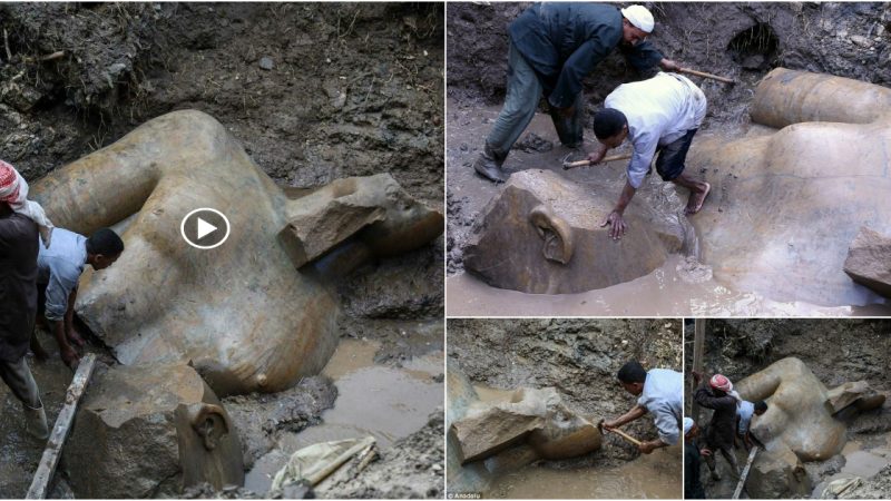 Read about Cairo’s 3,000-year-old, 26-foot-tall (8-meter) colossus.