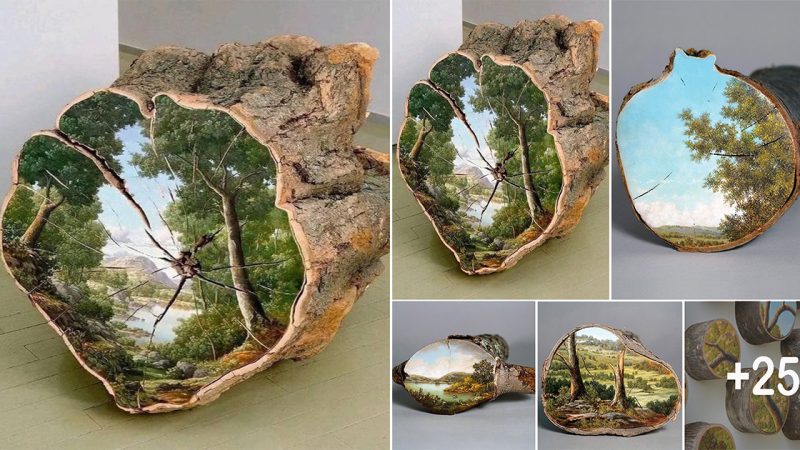 Art is an experience that changes the person who experiences it. Painting on a tree stump by Alison Moritsugu