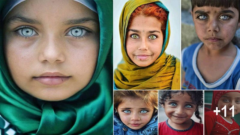 the strange beauty of the eyes