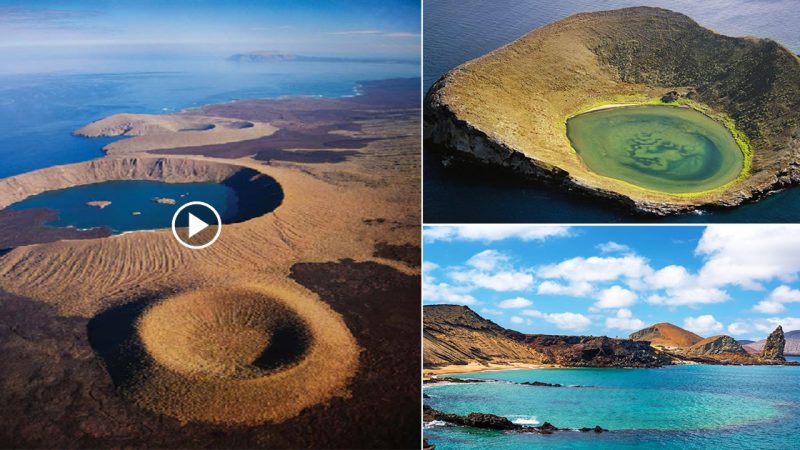 The beauty of the largest and most dangerous crater in the world in Isabela Island, Galapagos