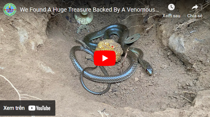 A Vast Treasure Supported by a Priceless and Rare Venomous Serpent Was Discovered.