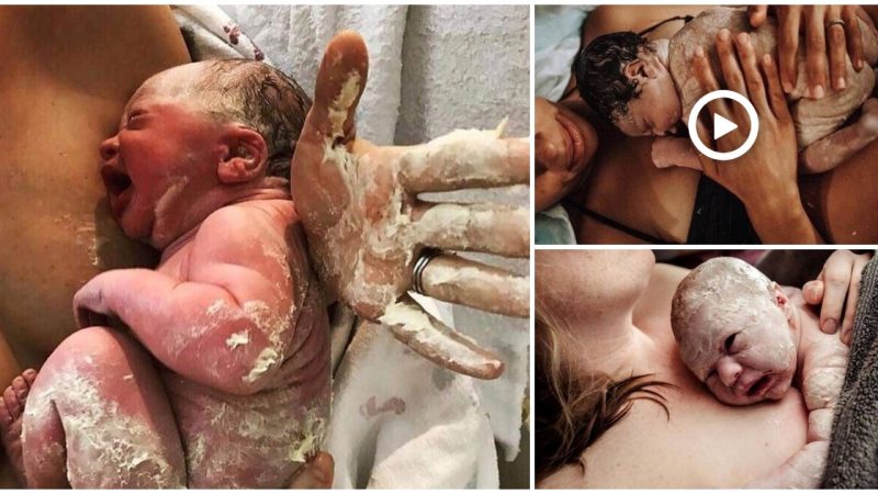 Pure and Precious: A Stunning Photo Collection of Newborns Embracing Their Fetal Sebum