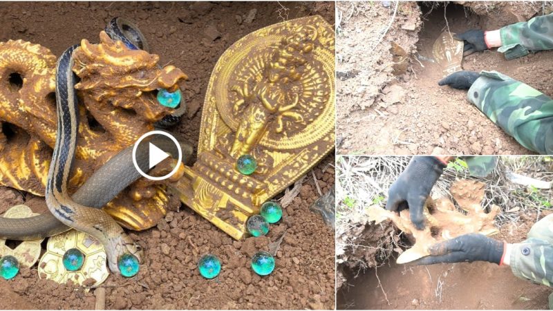 Detected Treasure Chest Protected by Snakes.