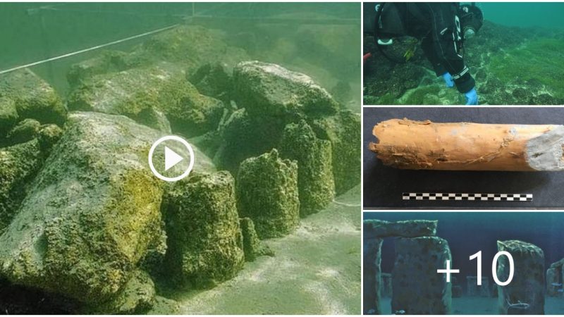 Underwater Stonehenge That Predates the Pyramids Confirmed in Switzerland