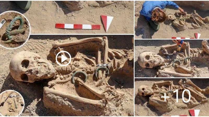 Grave of Urartian woman buried with jewelry unearthed in Turkey