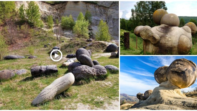 These Mysterious Stones Found in Romania Grow, Move and Even Breed