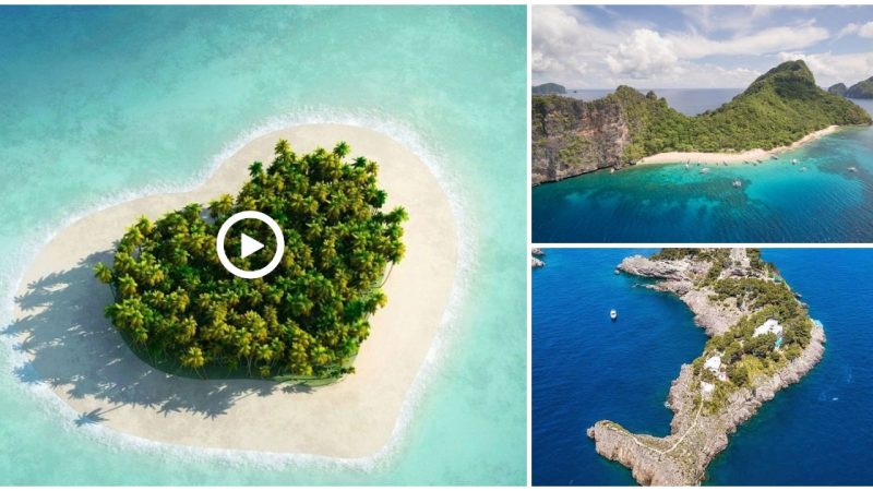 The cutest islands make everyone dizzy