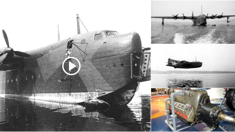 Blohm & Voss BV 238 – The Flying Boat Beast