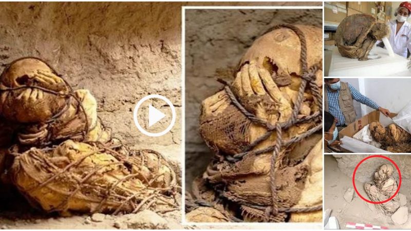 Discovery of 1,000-Year-Old Mummy Bound by Rope in Underground Tomb Marks Archaeological Breakthrough.