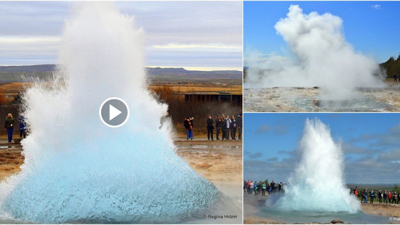 Because of the extreme heat of the Geysir geothermal region, Iceland’s Strokkur hot spring erupts on a regular basis.