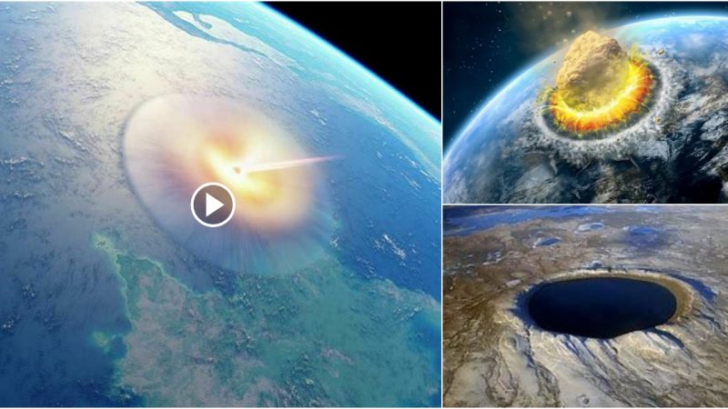 Chicxulub Crater (video)