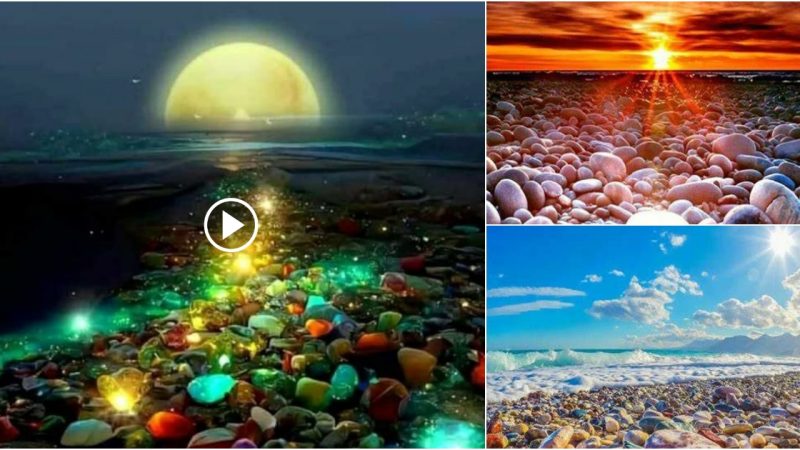 Nature’s Artistry: The Beauty of Sunlit Stones