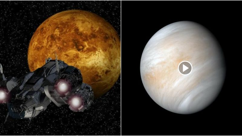 Exploring Venus Before Mars: The Urgent Call of Scientists