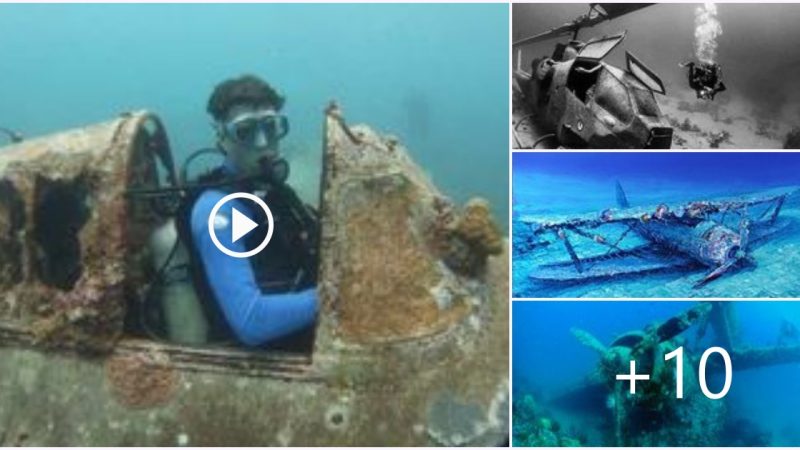 Discovered many warships and aircraft under the ocean ruins of war.