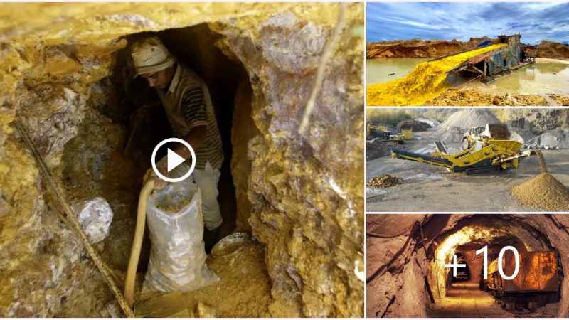 Exploring the Depths of the Top 10 Gold Mines Across the Globe