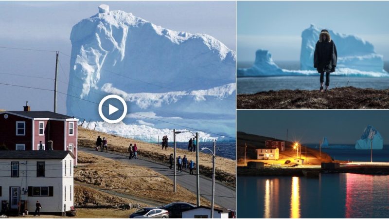 150 foot iceberg passes through Iceberg Alley near Ferryland, Newfoundland, Canada