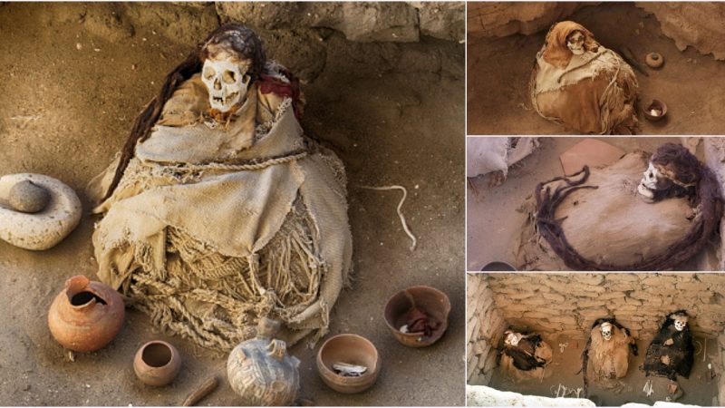 A Nazca Skull: The Mummified Shamans Sporting Long Dreaded Manes of Hair