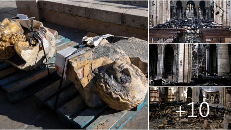 Unveiling the Hidden Secrets: Investigating the 800-Year-Old Structure and Decorations of Notre Dame Cathedral after the 2019 Fire