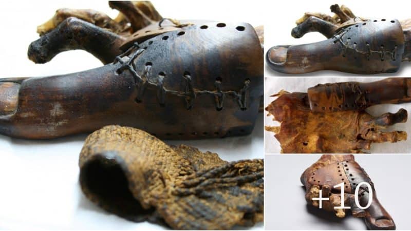 Ancient Artificial Toe Unearthed in Thebes, Egypt: A Glimpse into the Past