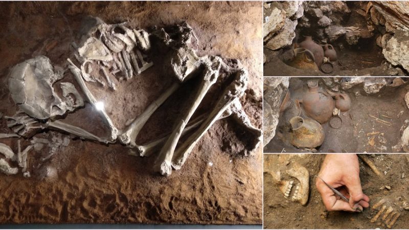 The canaanite elite of Megiddo may have been unearthed in a 3,600-year-old tomb containing nine skeletons.