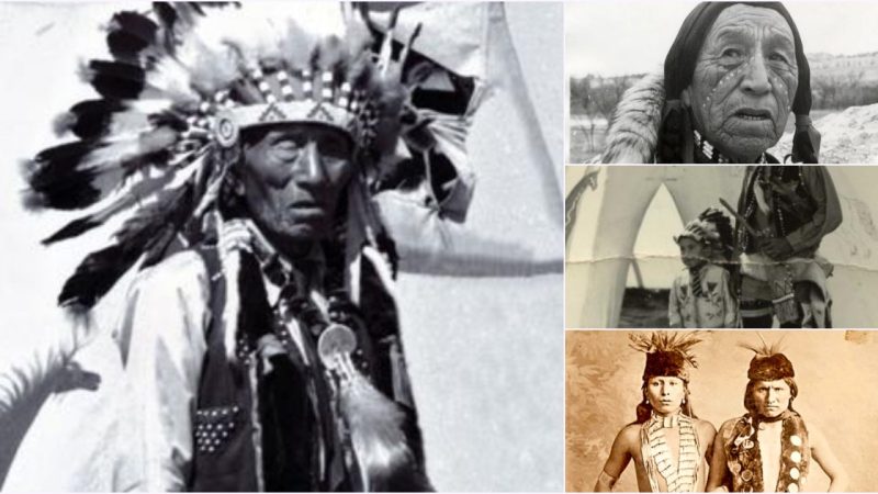 Heȟáka Sápa (Black Elk): A Renowned Lakota Medicine Man and Holy Man