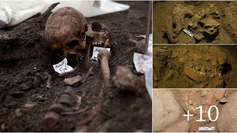 Remains of a 7,200-Year-Old Skeleton from a Female Reveal Unknown Human Lineage