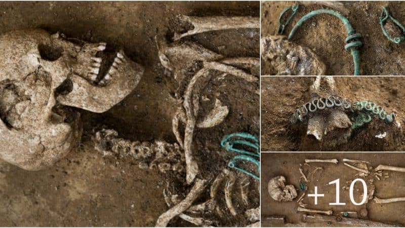 Unveiling the Enigmatic La Tène Culture: New Discoveries from a Necropolis in Northern France