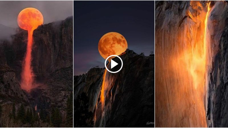 When the moon “falls” with fire and waterfalls in Yosemite National Park, it’s a sight to behold.