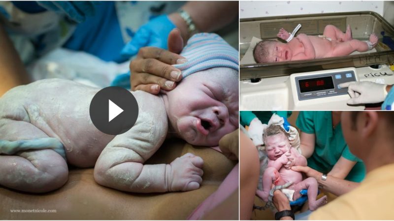 When the first photographs of a newborn weighing 5 kg were revealed, everyone gasped.