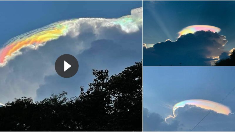 Heartbroken by the beauty of the once-in-a-hundred-years seven-color cloud.