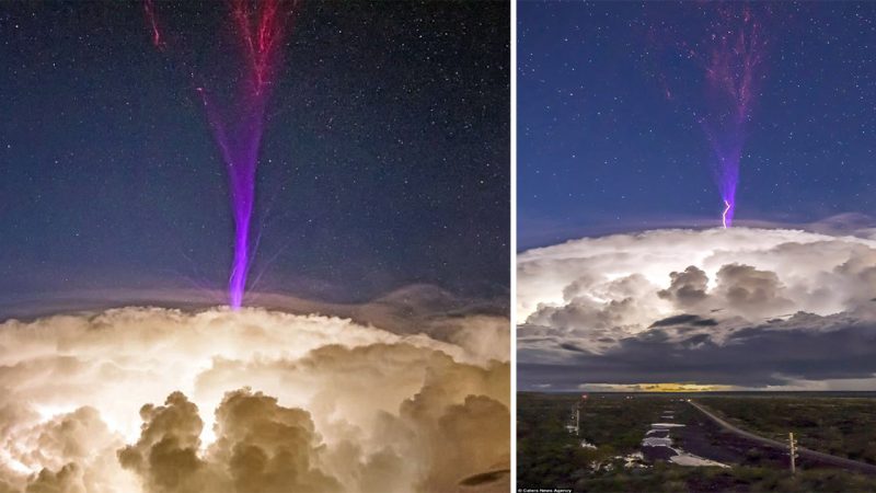 Forget purple rain, it’s purple lightning! Photographer captures a rare weather phenomenon as storm creates a violet flash UPWARDS into in the sky