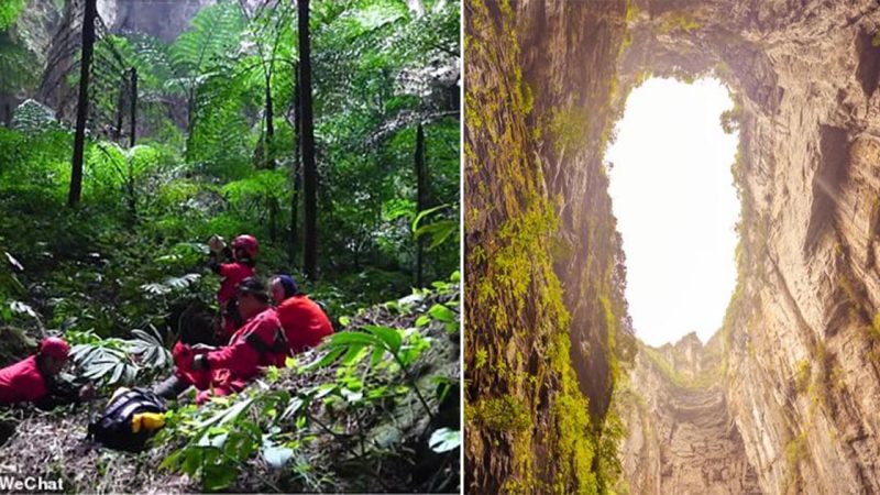 Inside massive sinkhole with ancient forest that can host undiscovered species