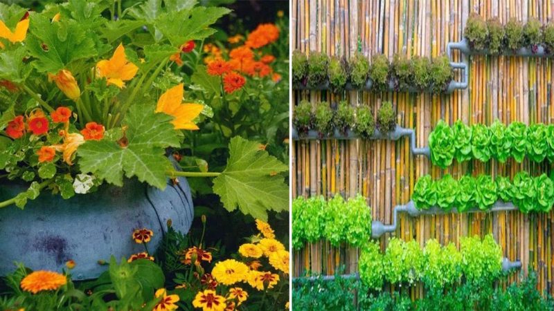 10 Stunning Container Vegetable Garden Design Ideas & Tips