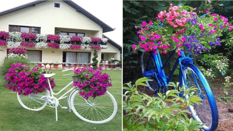 Using old bicycles, they create a flower garden with accents