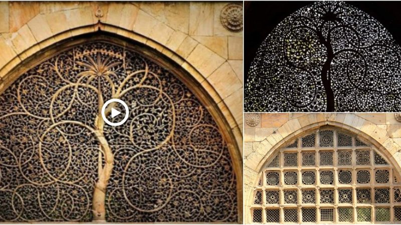 Tree of Life carved of marble in the Sidi Saiyyed Mosque in Ahmedabad, Gujarat, India. Built in 1572–73 AD