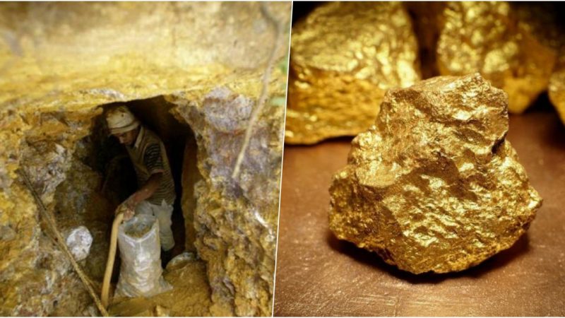 Discovery of Ancient Tools: Estimated to be 40 Million Years Old, Unearthed in California Gold Mine.