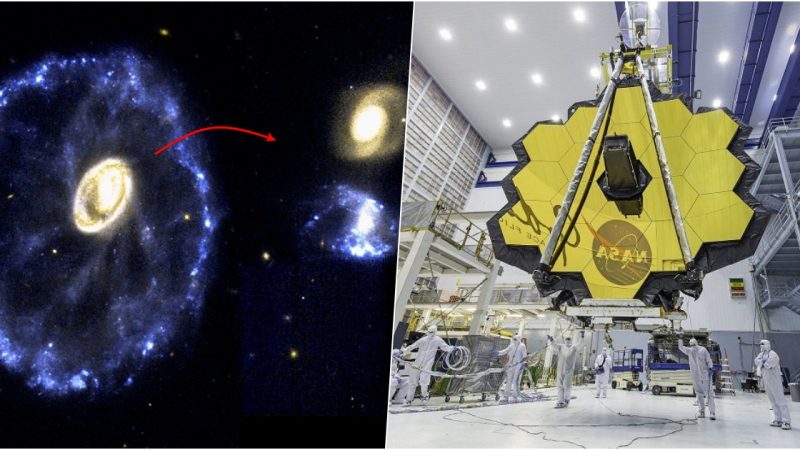 “Mesmerized by the Stellar Skeleton: Exploring the Galaxies through the James Webb Space Telescope”