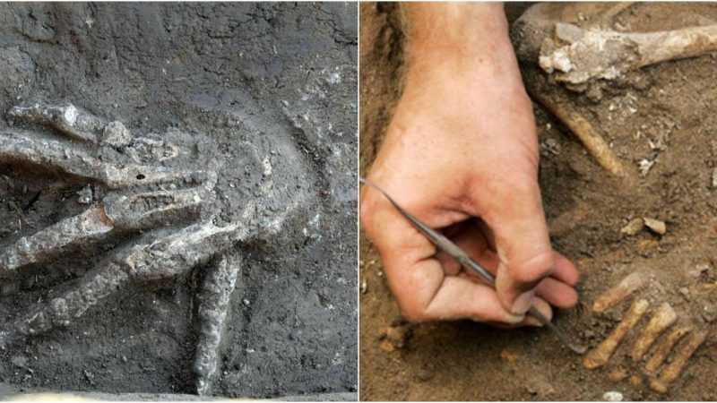 “Remarkable Discovery in Egypt: Unearthing 3600-Year-Old Pits Brimming with Giant Hands”