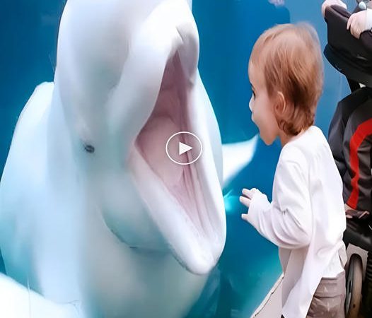 Children playing happily at the aquarium