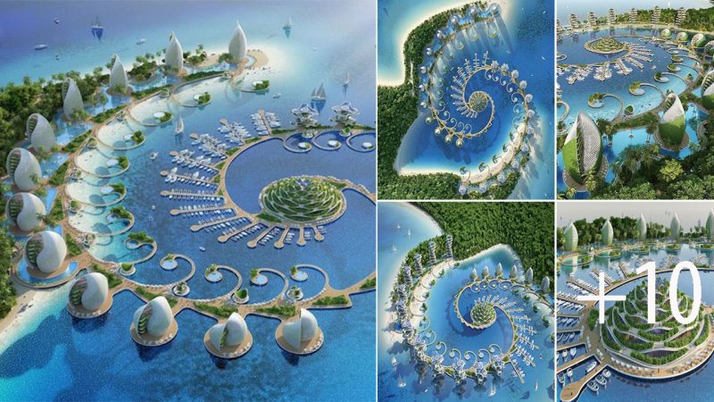 architects unveil nautilus eco resort a conceptual triple zero sustainable haven