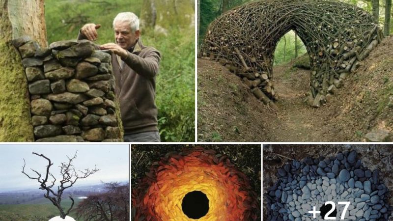 The natural artworks of Andy Goldsworthy 🍁