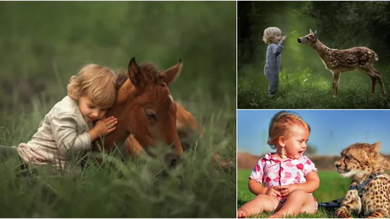 Adorable Interactions Between Infants and Animals That Will Warm Your Heart.